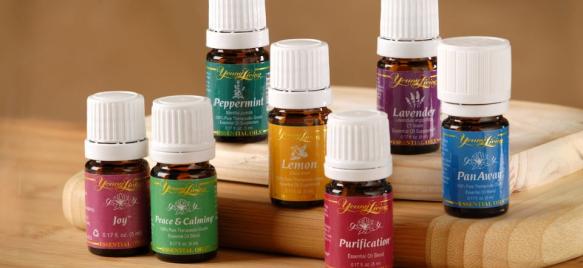 Menjadi member Essential Oil Young Living