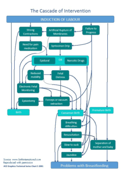 Cascade-of-Intervention_0