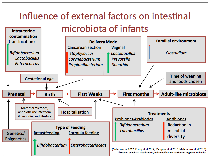 johnsoncash_human_microbiome_copy_pdf__page_5_of_13_-2