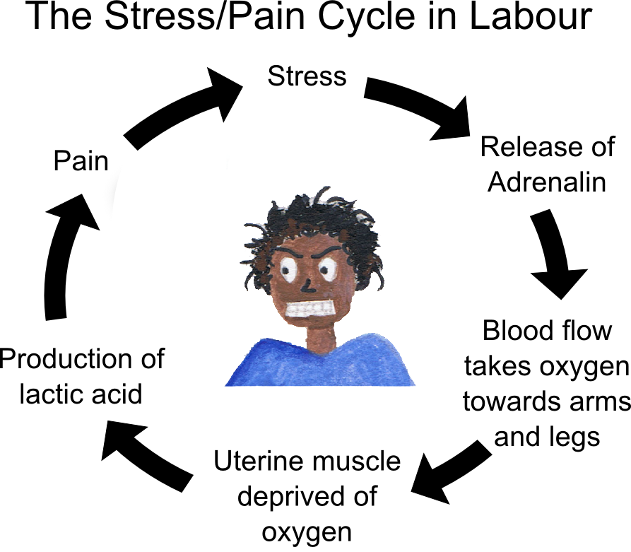 circle of stress