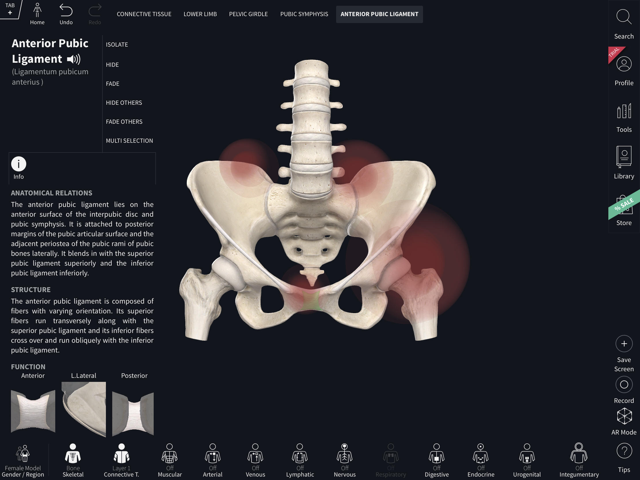 Symphisis Pubis Disfunction Dan Cara Atasinya.