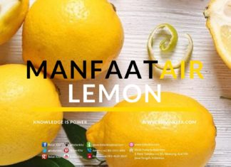 Manfaat Air Lemon untuk Kehamilan