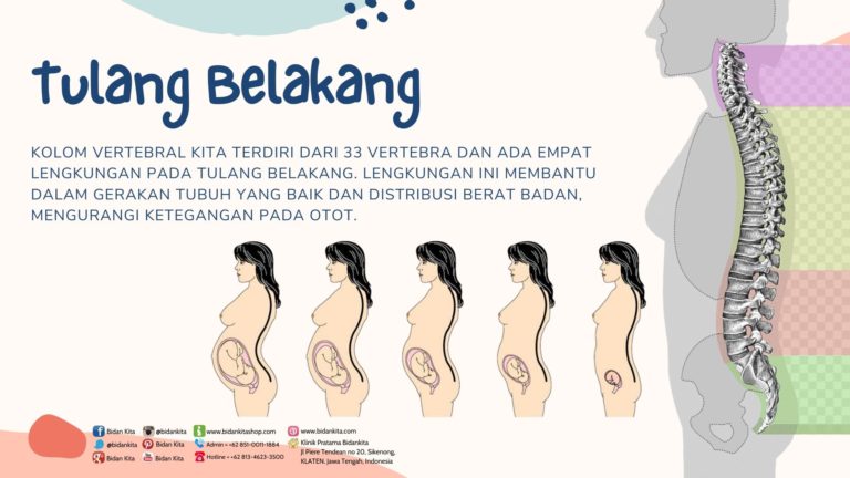 Pentingnya POSTUR dan KESEIMBANGAN pada masa KEHAMILAN