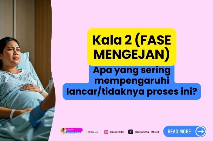 Apa yang bisa pengaruhi Fase MENGEJAN? Apa yang bisa pengaruhi Fase MENGEJAN?