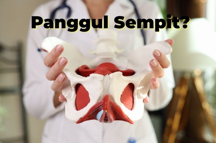 Kenalan dengan Panggul Ibu